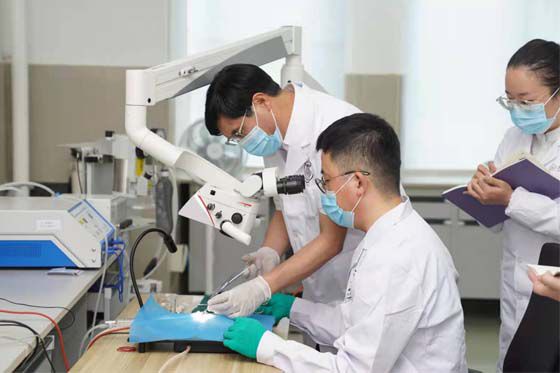 點贊！貴州醫(yī)科大學(xué)2021年度獲批國家自然科學(xué)基金項目再創(chuàng)新高
