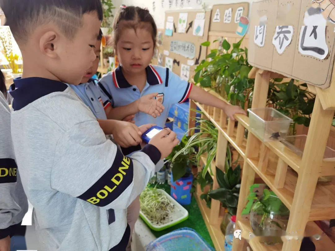 小烏龜你好！——開發(fā)區(qū)中南熙悅幼兒園班本課程敘事